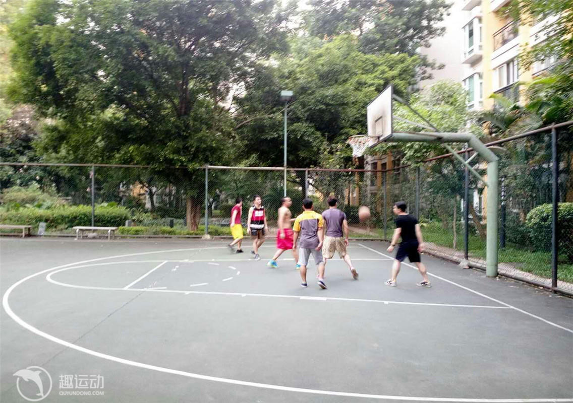 橡树园篮球场